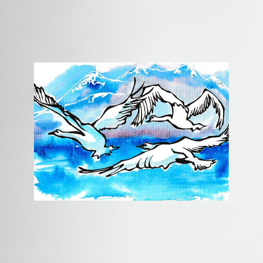 Lake Como Swans Soaring